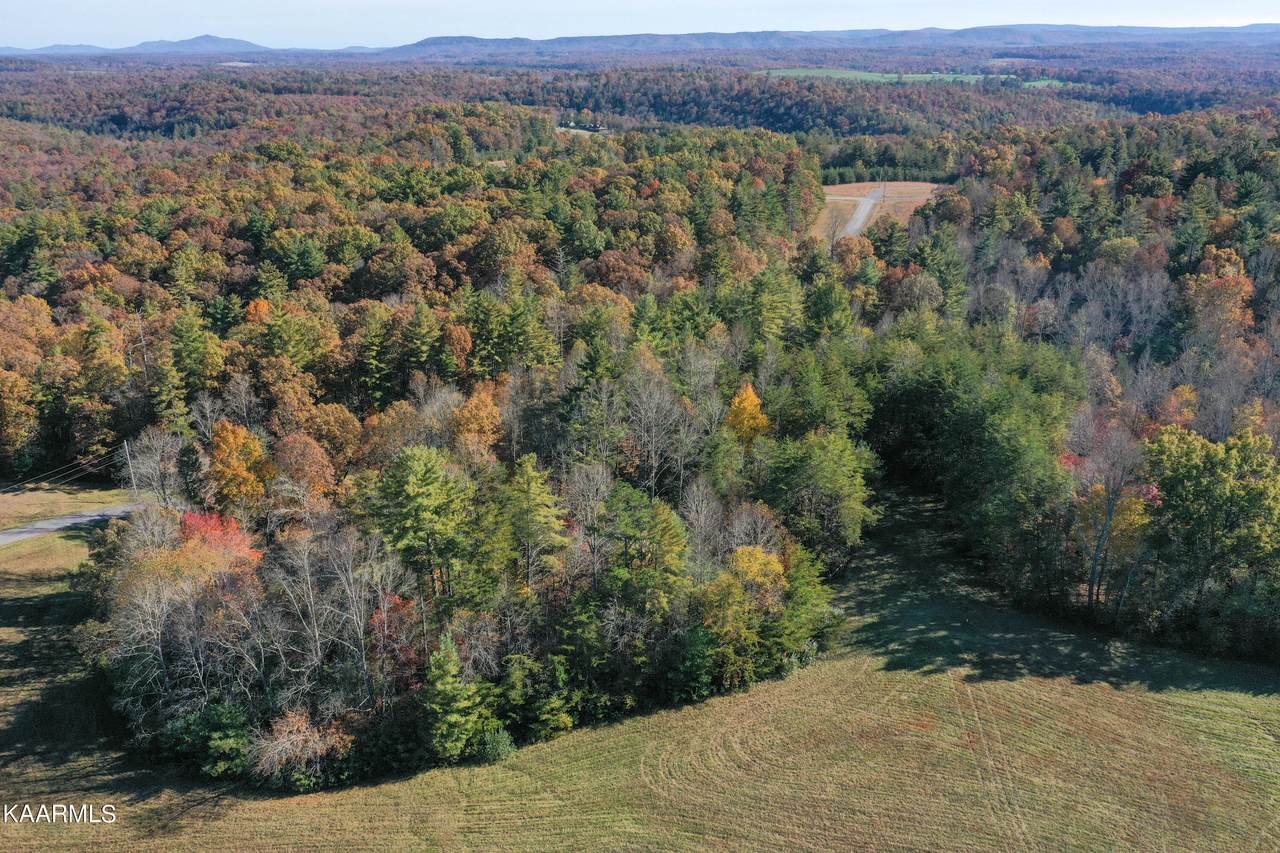 Highway 62 - Photo 1