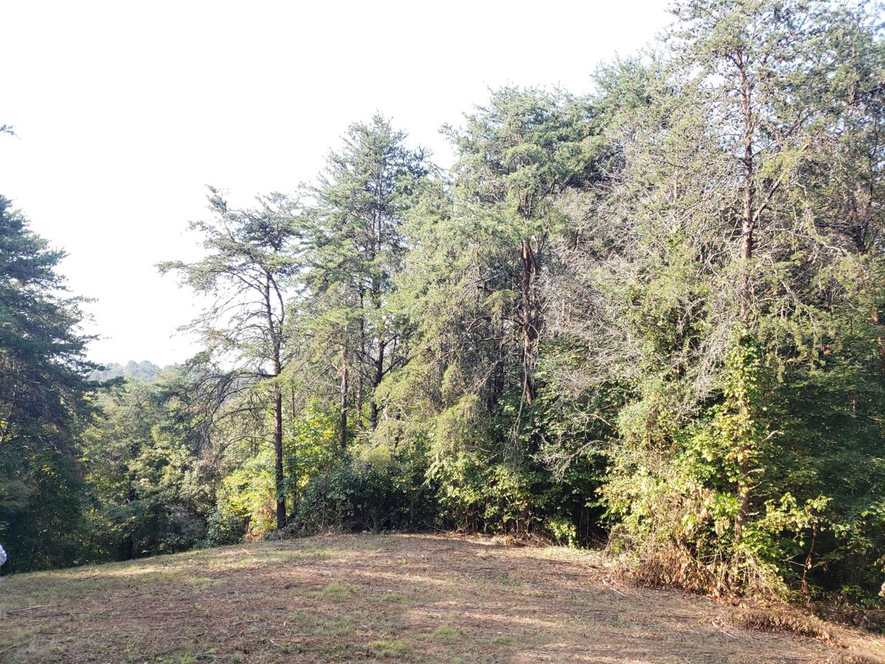 Par 8.07 Smith School Rd - Photo 1