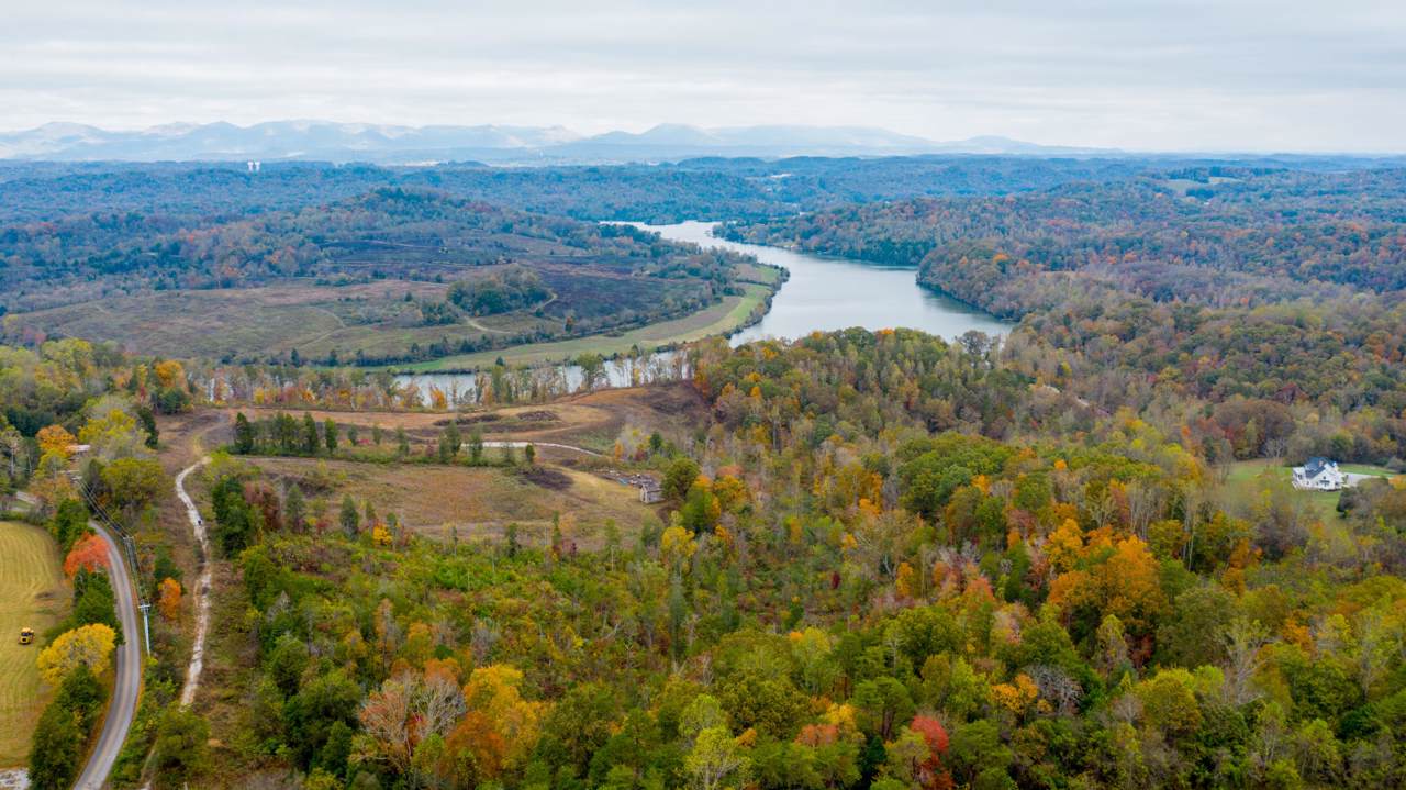 Williams Bend Rd - Photo 1