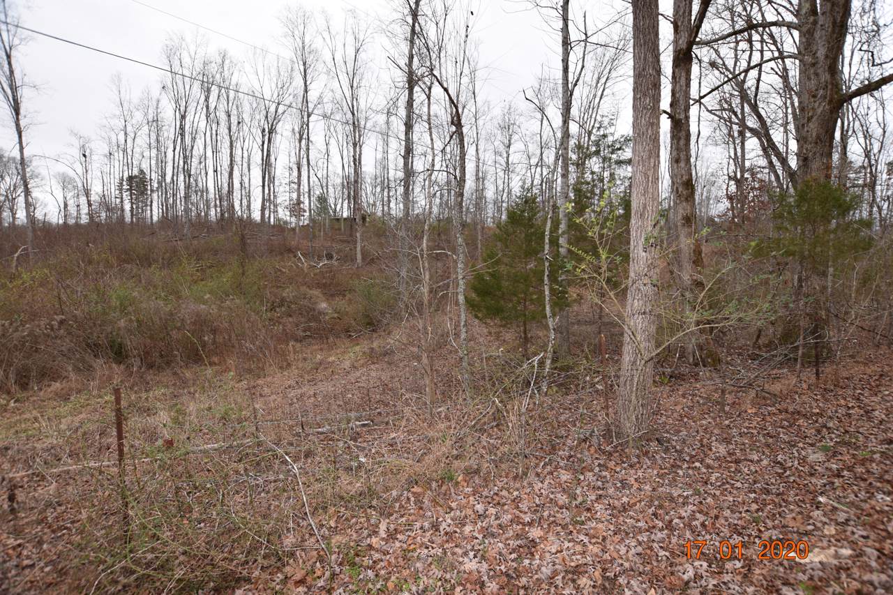 Maple Grove Rd. - Photo 1