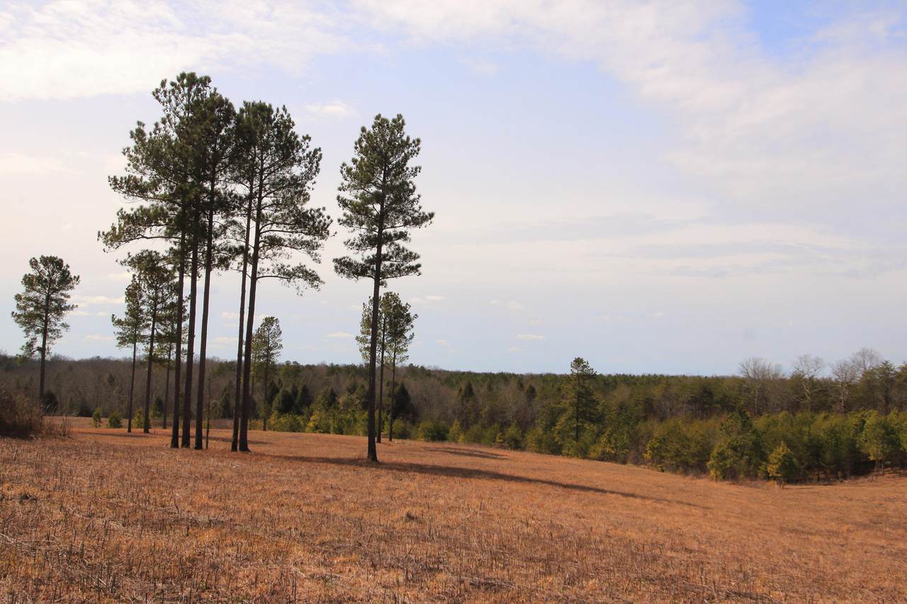 Lot 18 Maddie Way - Photo 1