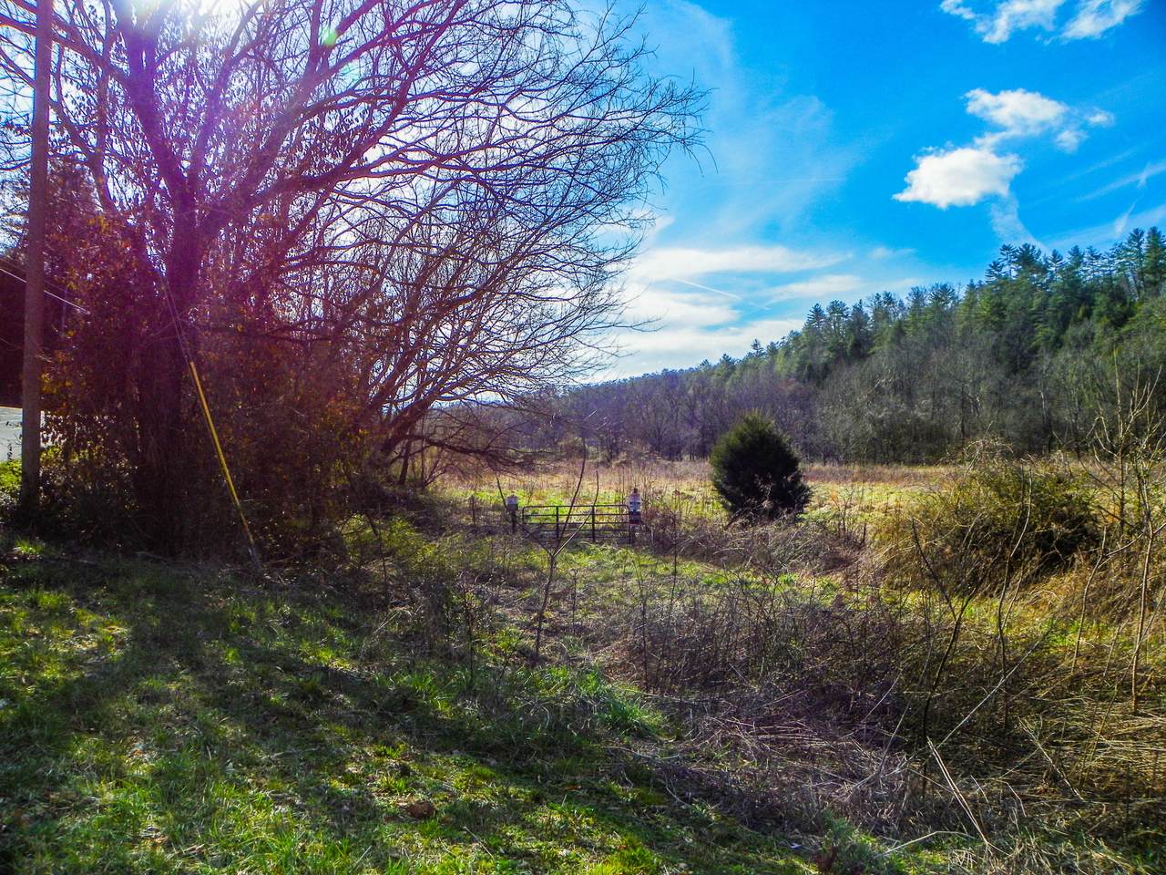 49.57 +/- Acre Tract Wilhite Road - Photo 1 49.57 +/- Acre Tract Wilhite Road - Photo 1
