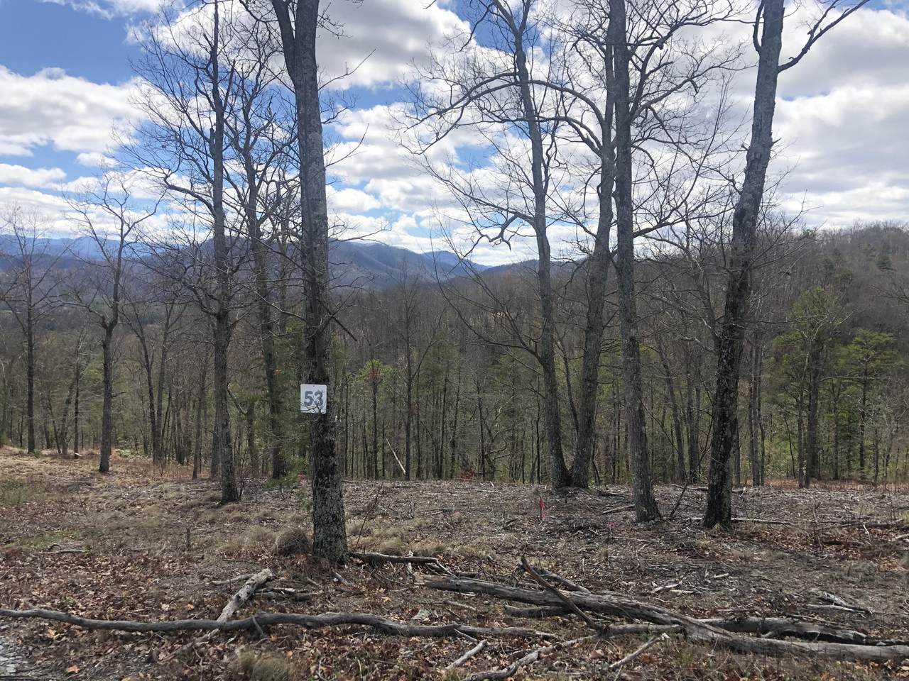 Lot 53 Misty Bluff Trail - Photo 1 Lot 53 Misty Bluff Trail - Photo 1