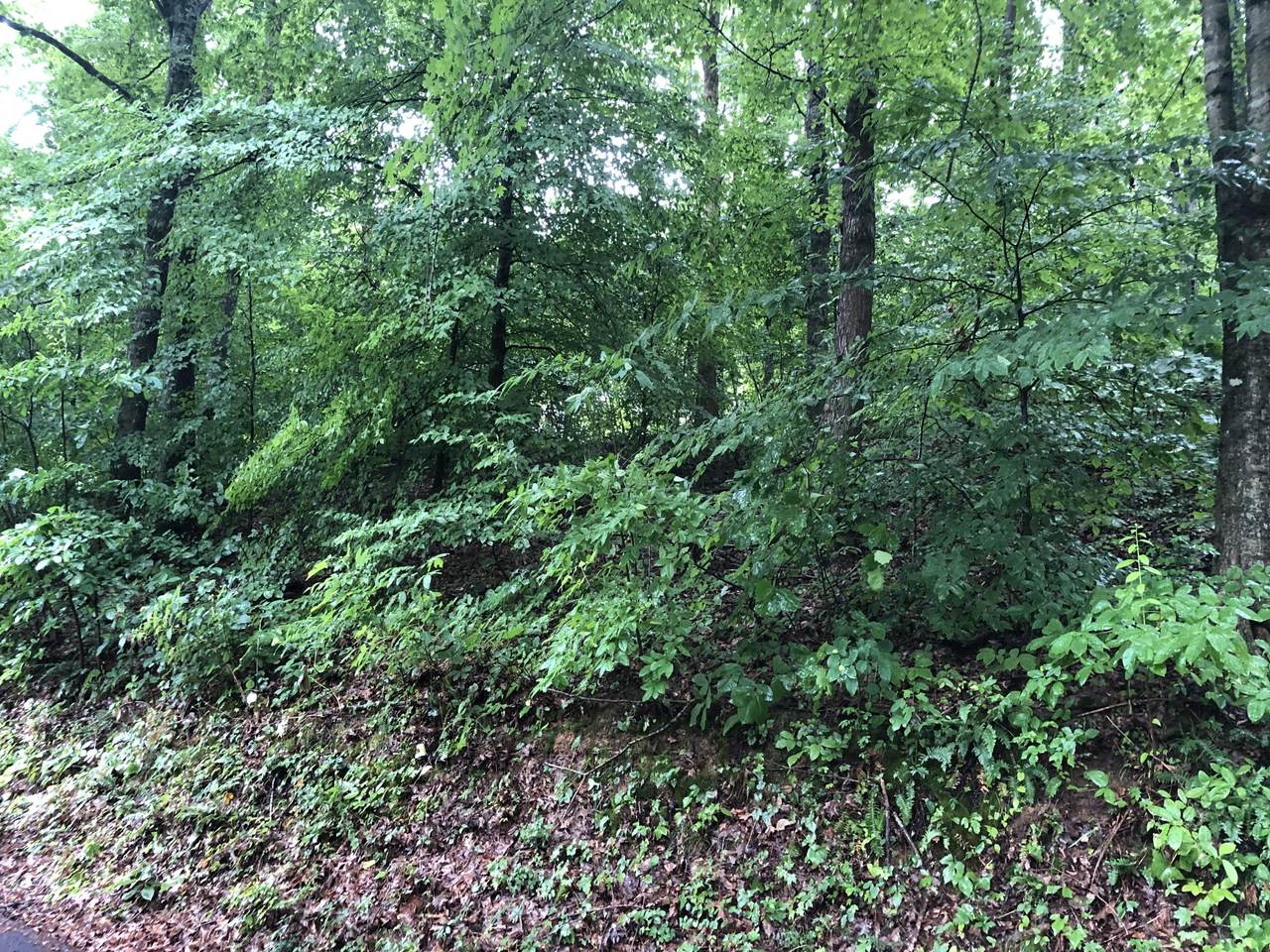 Lot #97 Highpoint Drive - Photo 1
