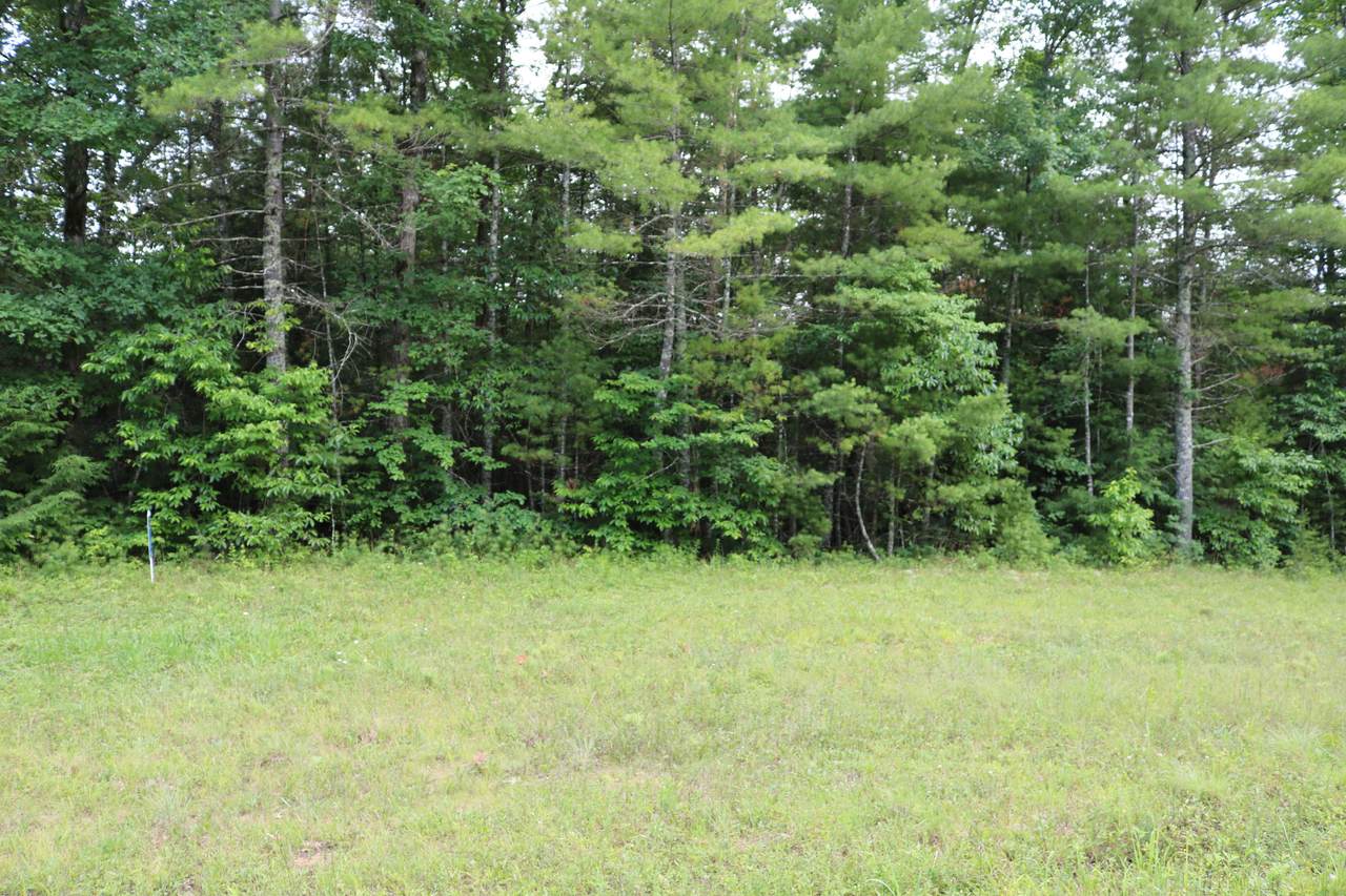 Hemlock Bluff Way - Photo 1
