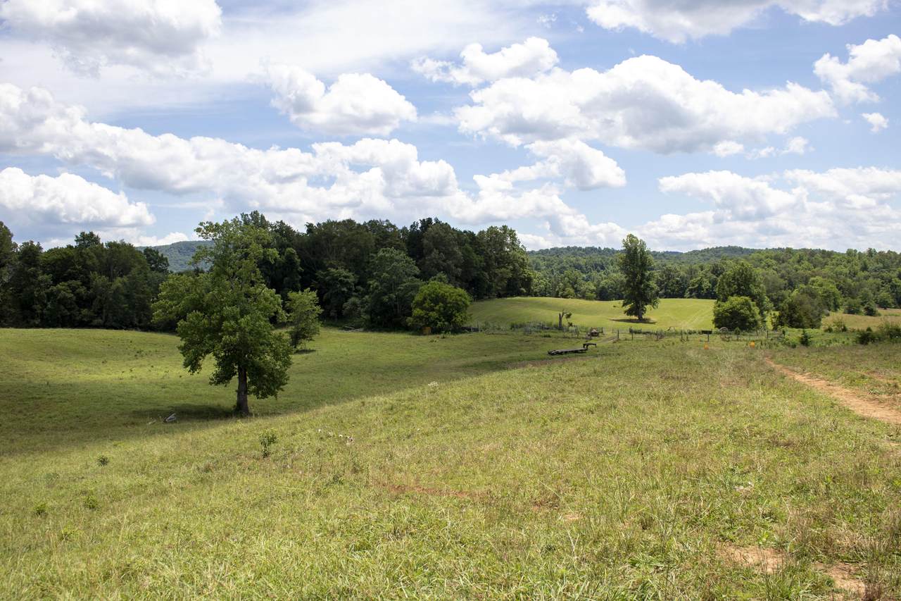 Frank Sims Rd - Photo 1