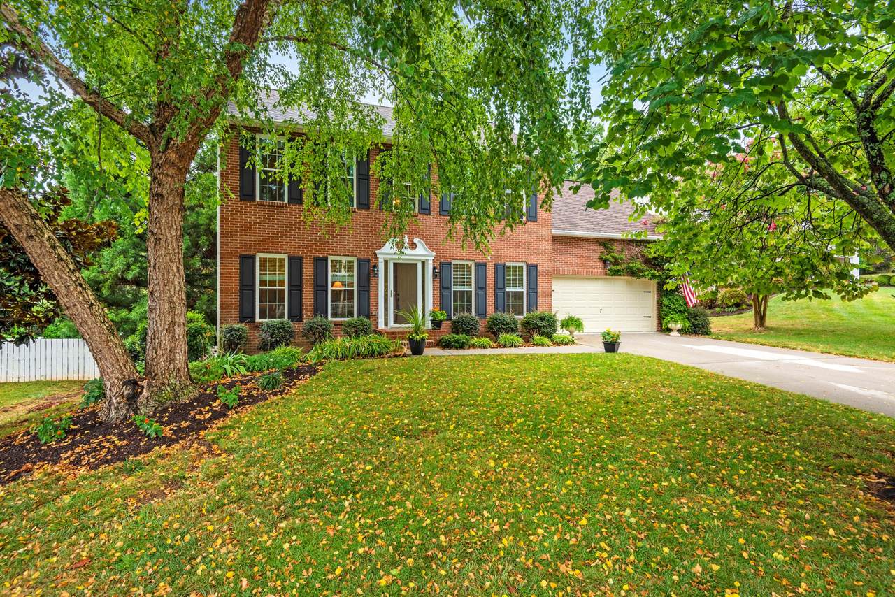 8211 Kingstree Lane - Photo 1