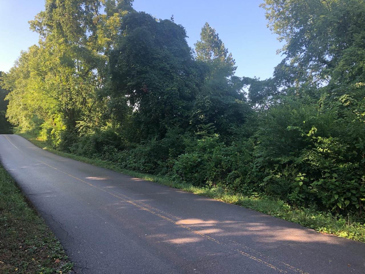 2720 Williams Bend Rd - Photo 1