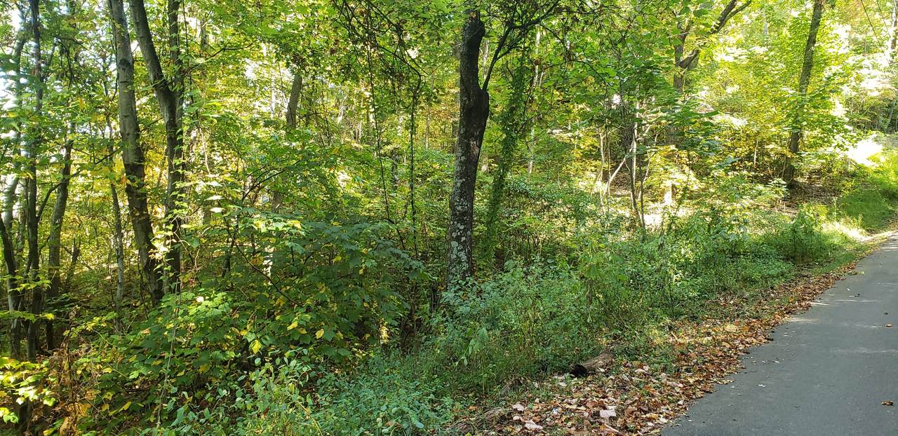 Lot 836 Orchard Drive - Photo 1