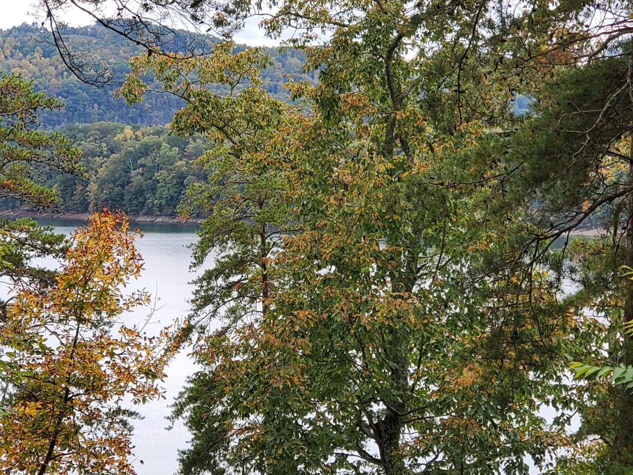 Lakeview Drive - Photo 1