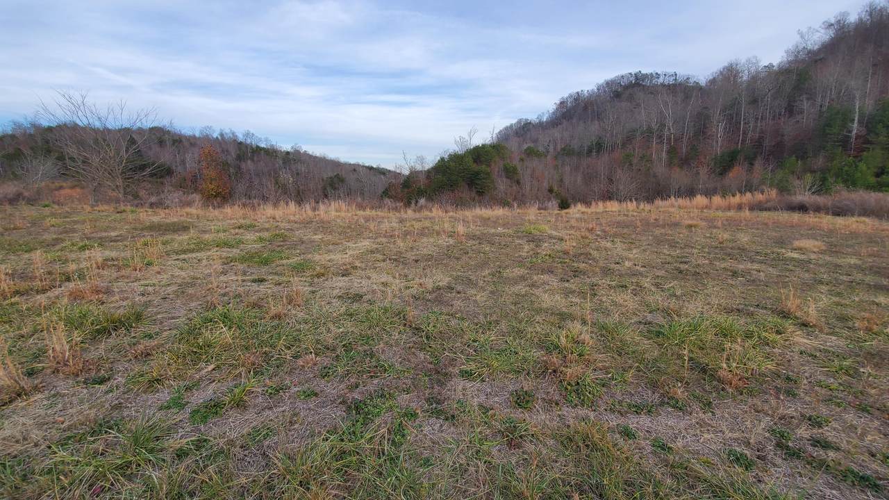 Lot 38 Windward Blvd - Photo 1