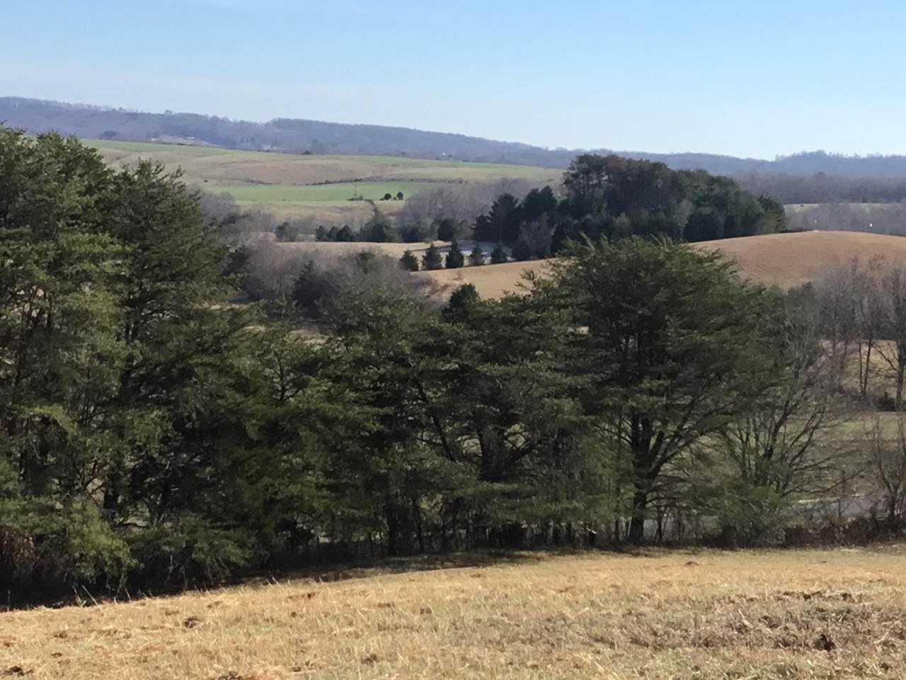 Bradley Wyatt Loop - Photo 1