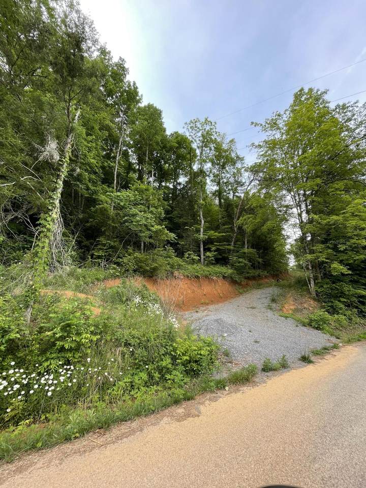 Old Loyston Rd - Photo 1