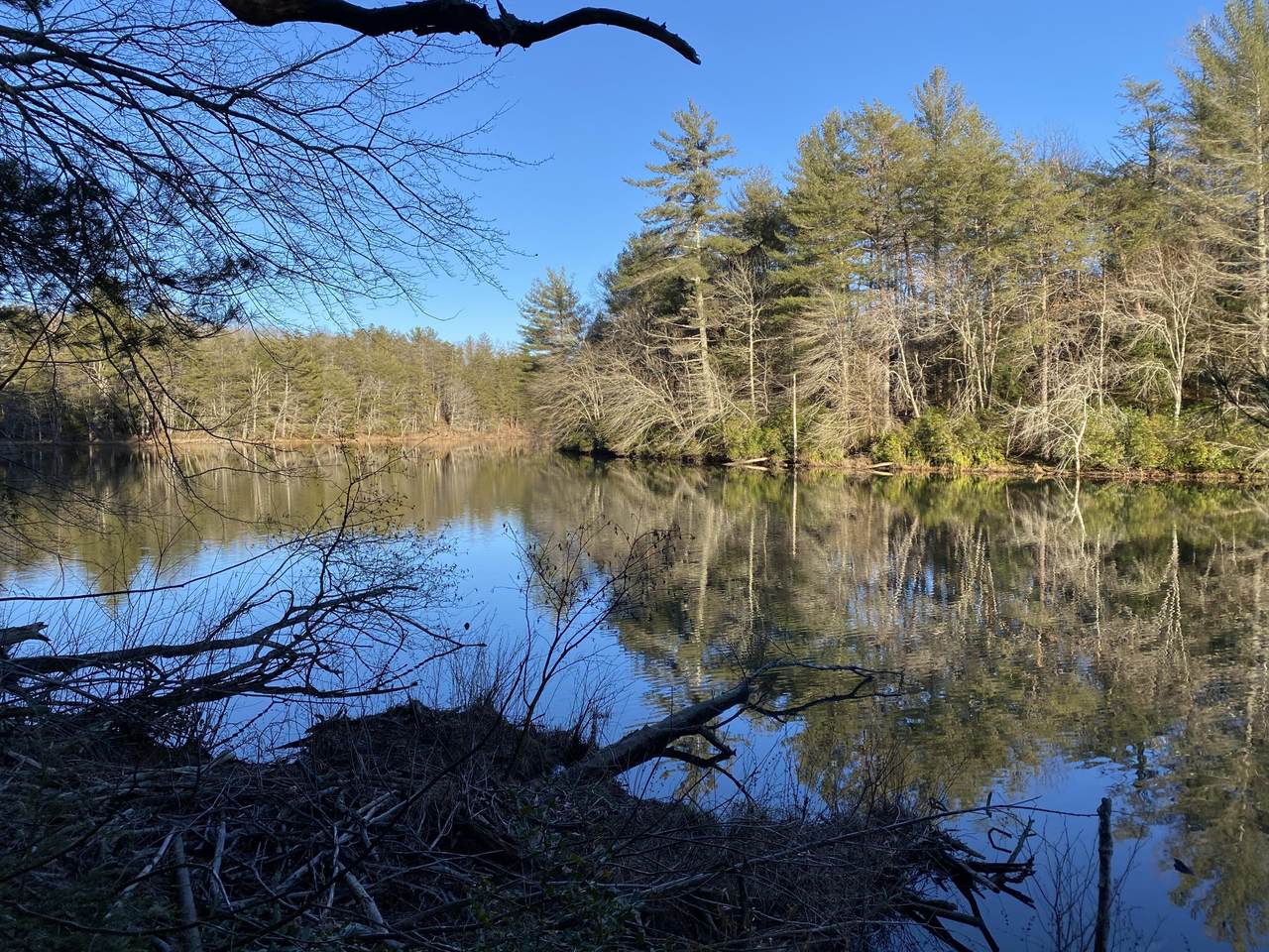00 Basses Creek & Arrow Drive - Photo 1