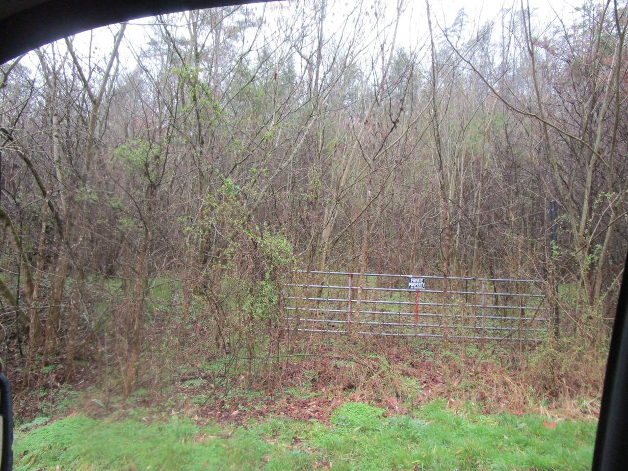 00 Tiger Lilly Drive - Photo 1