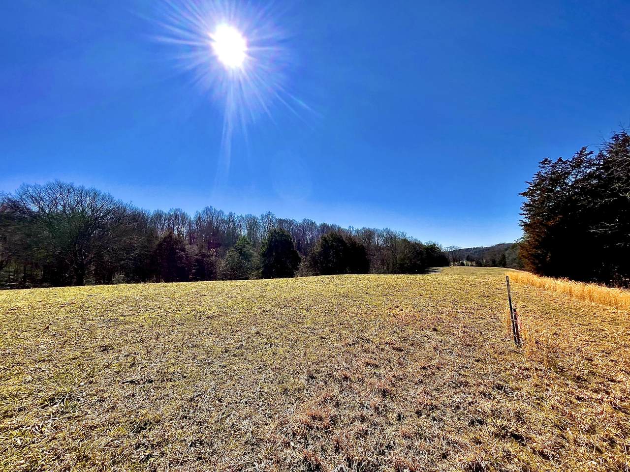 Stansberry Lot 6R Drive - Photo 1