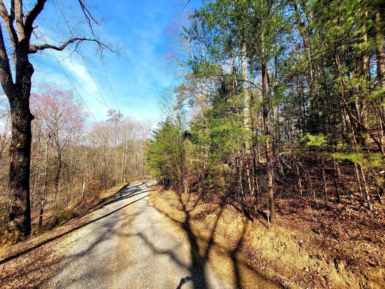 Roy Lee Way - Photo 1