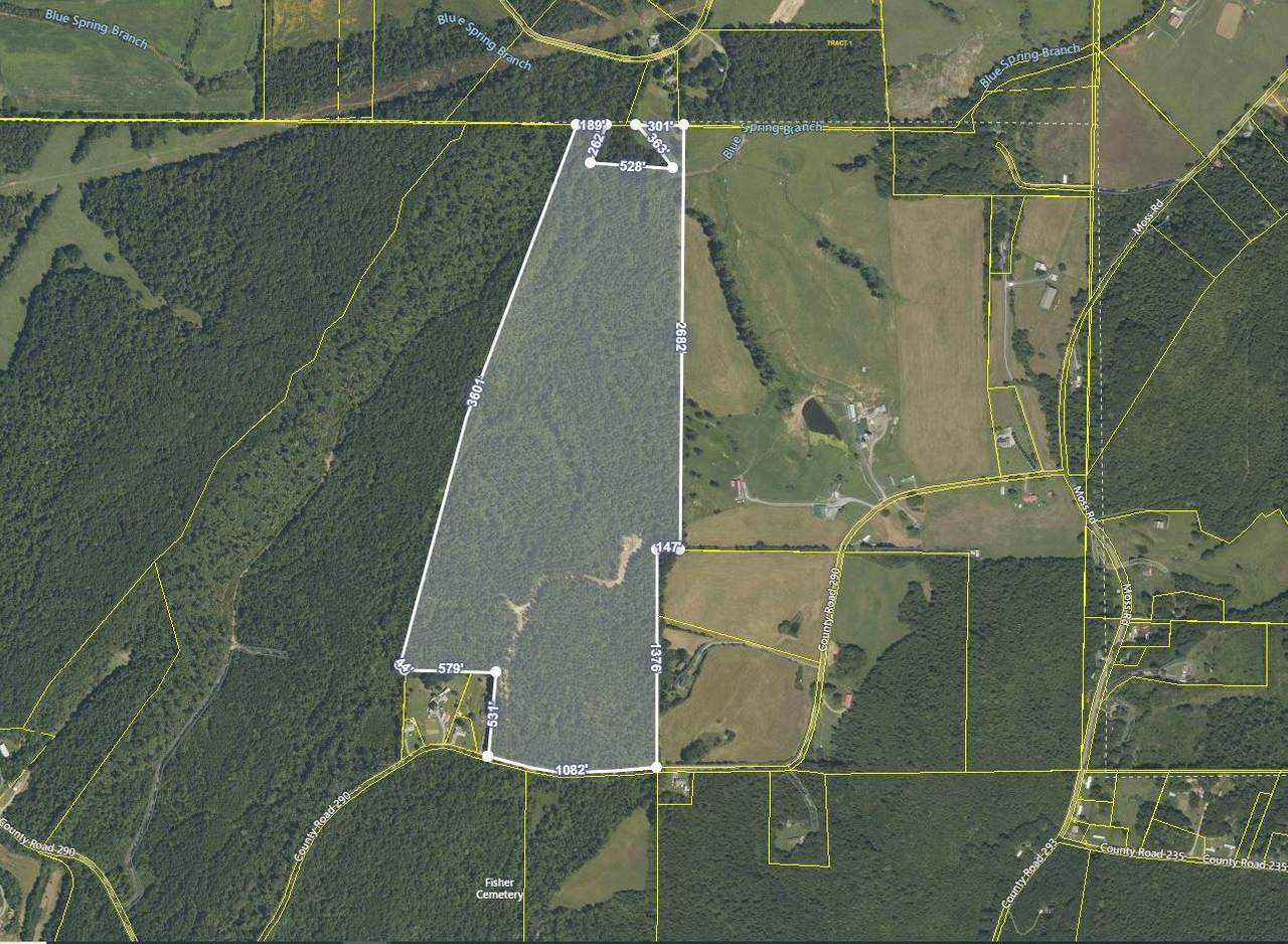 County Road 290 - Photo 1