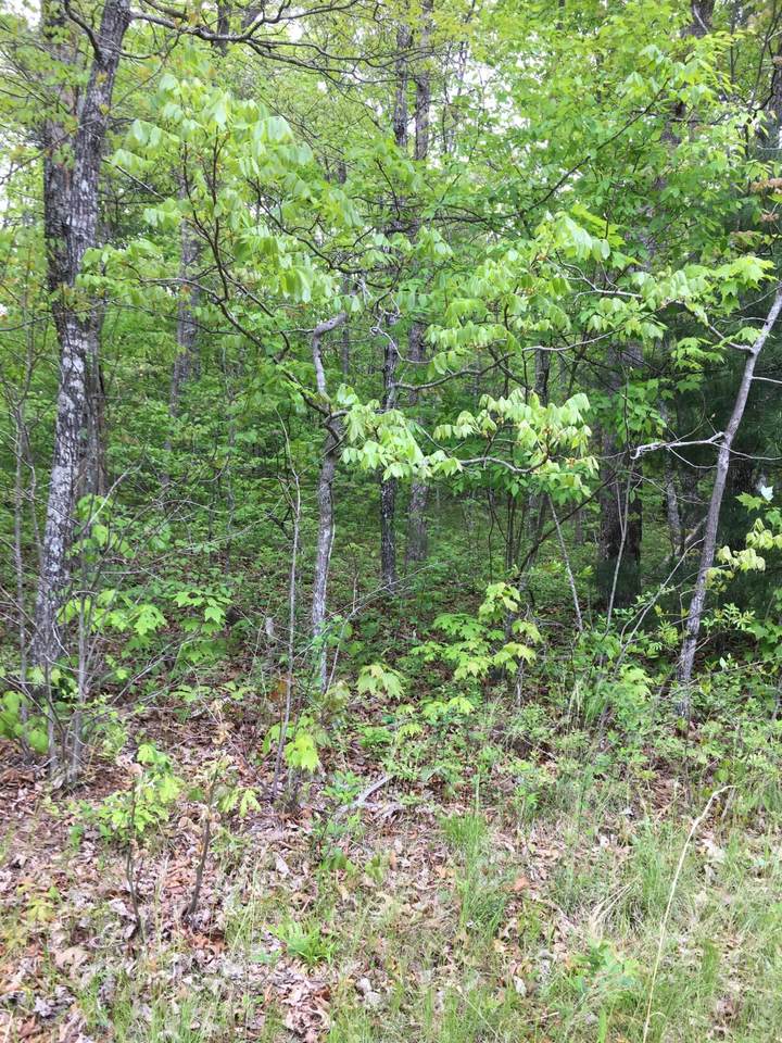 175 Brambleton Drive - Photo 1