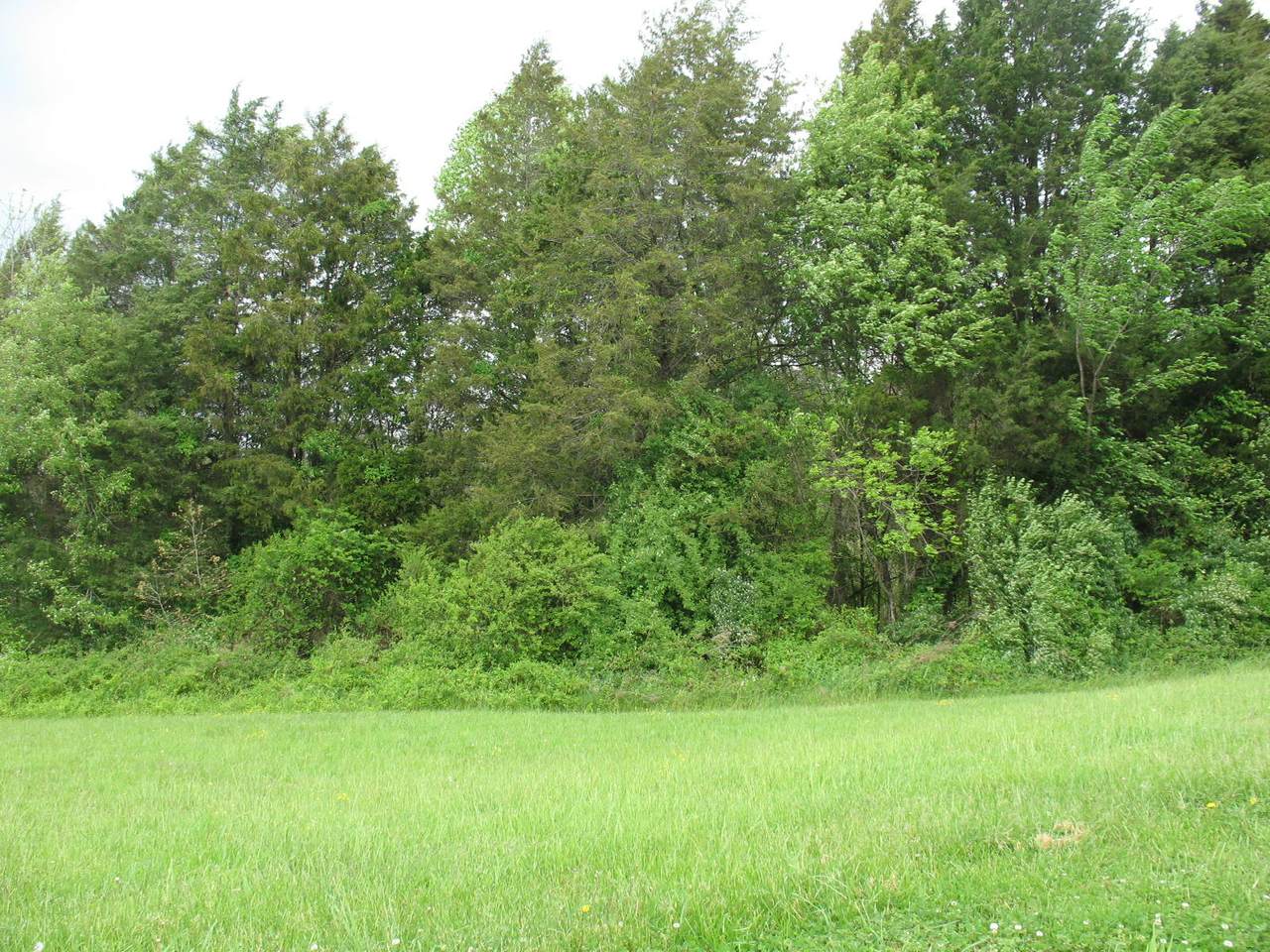 7615/7718 Twin Oak Lane - Photo 1