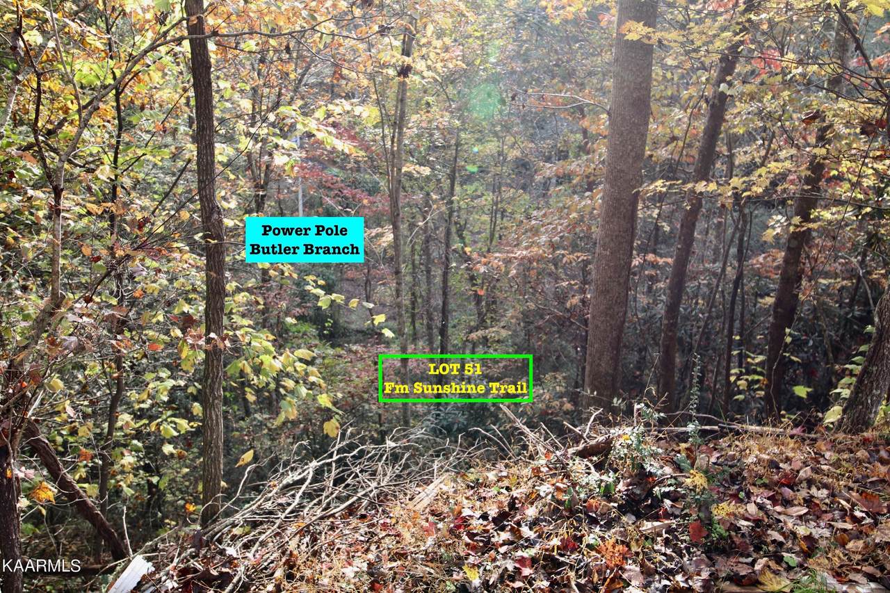 Lots 51/52 Sunshine Trl/Butler Branch Rd - Photo 1