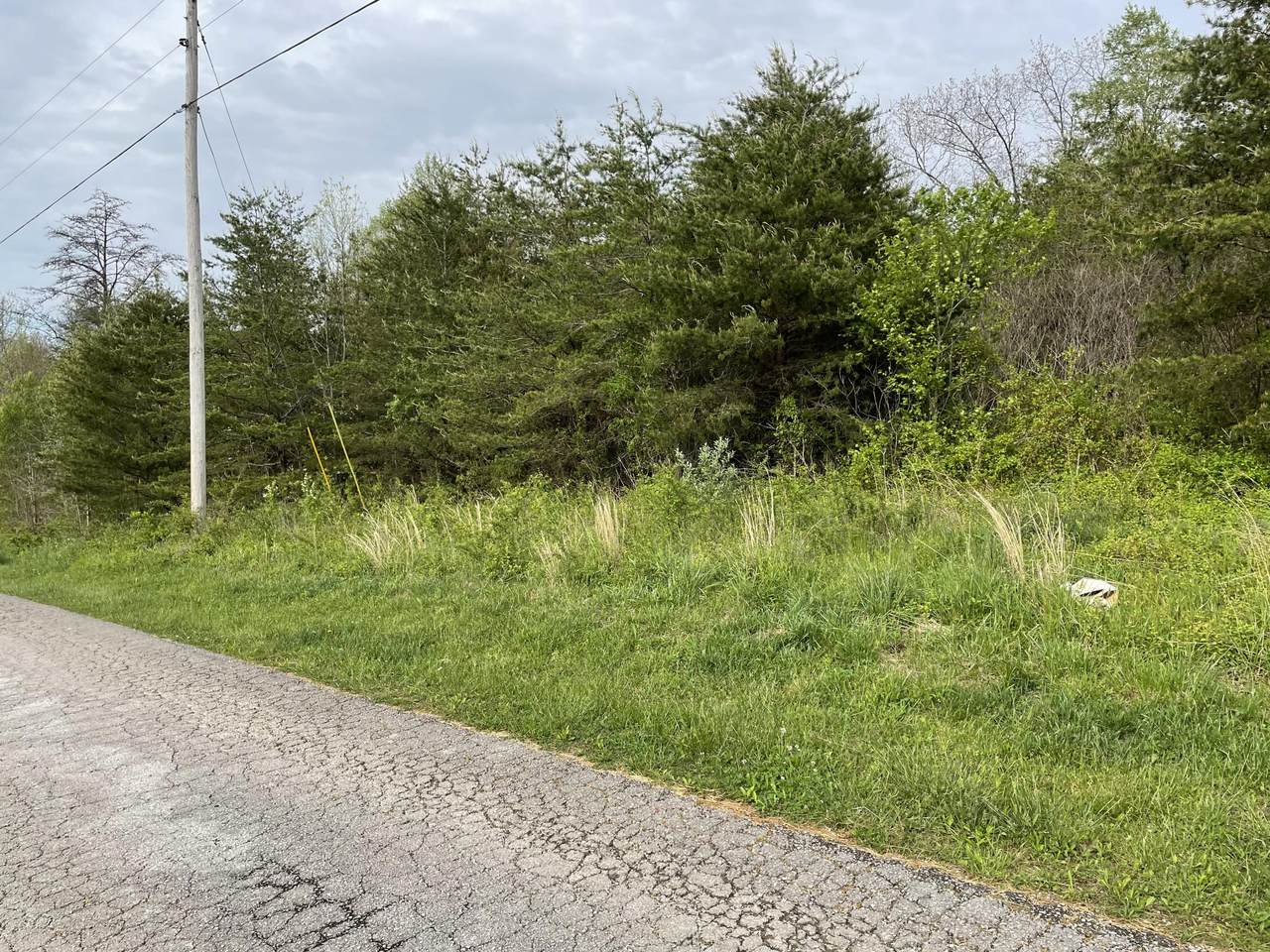 Al Martin Rd - Photo 1