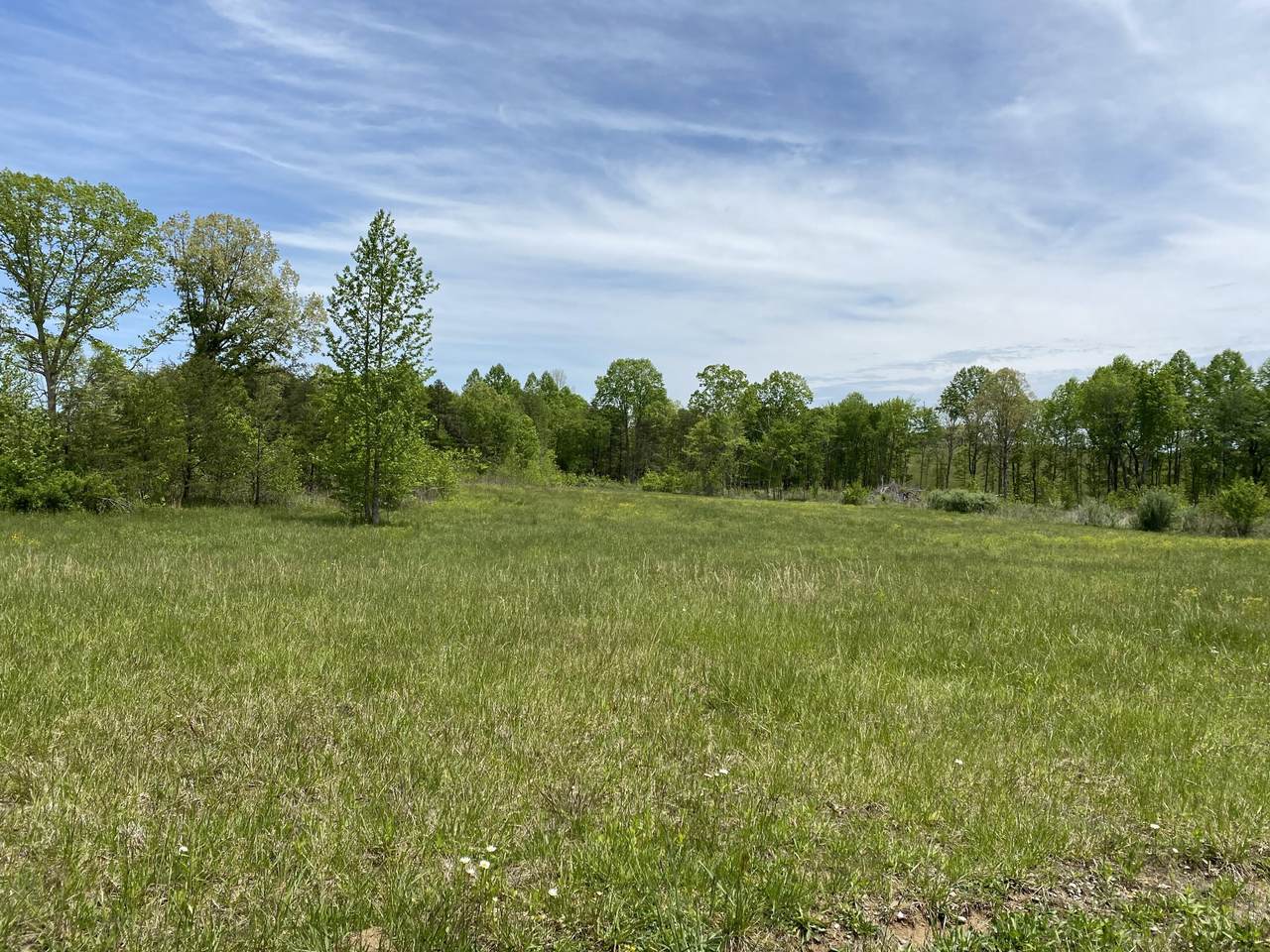 Salzer Mountain Road Rd - Photo 1