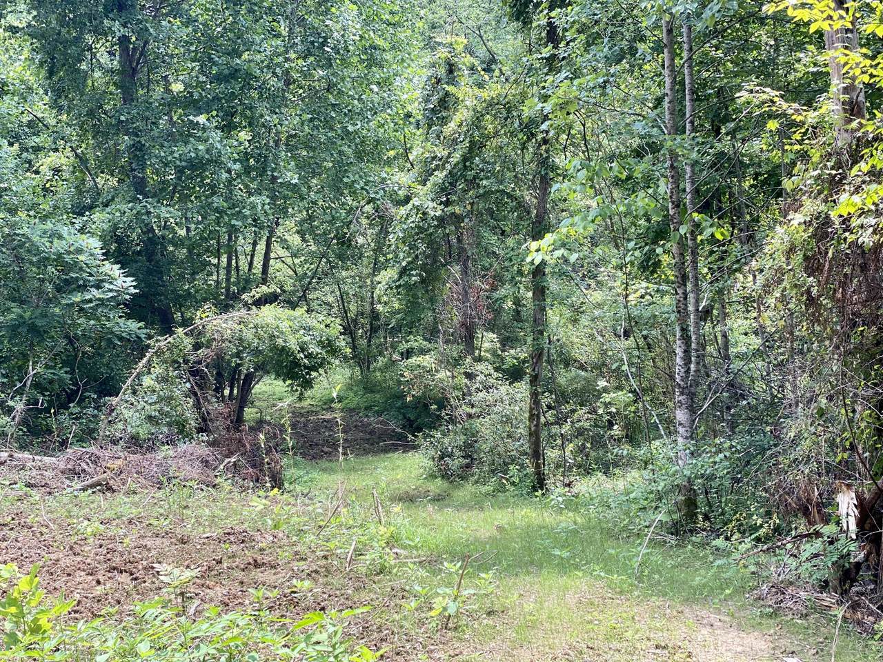 Upper Caney Valley Rd - Photo 1
