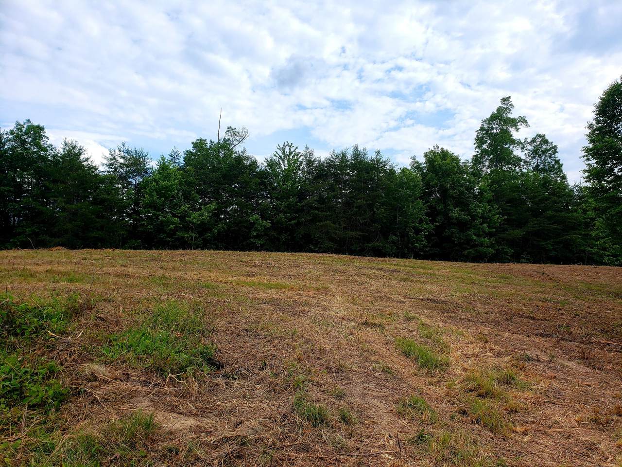 lot 62 Michael Place - Photo 1