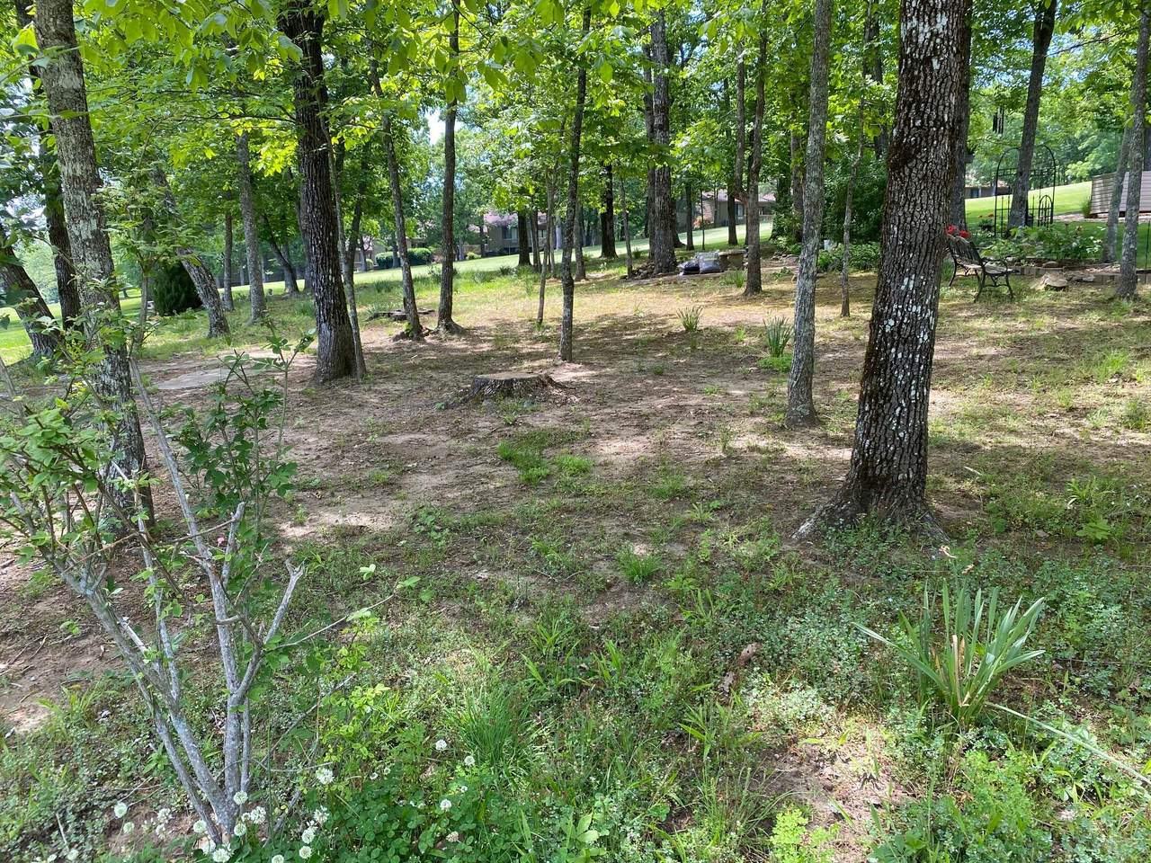 451 Snead Drive - Photo 1