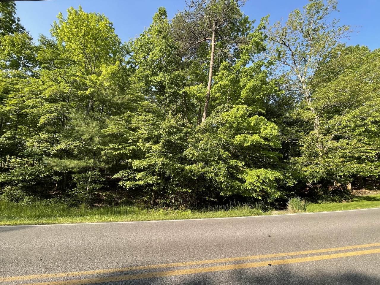115 Forest Hill Drive - Photo 1