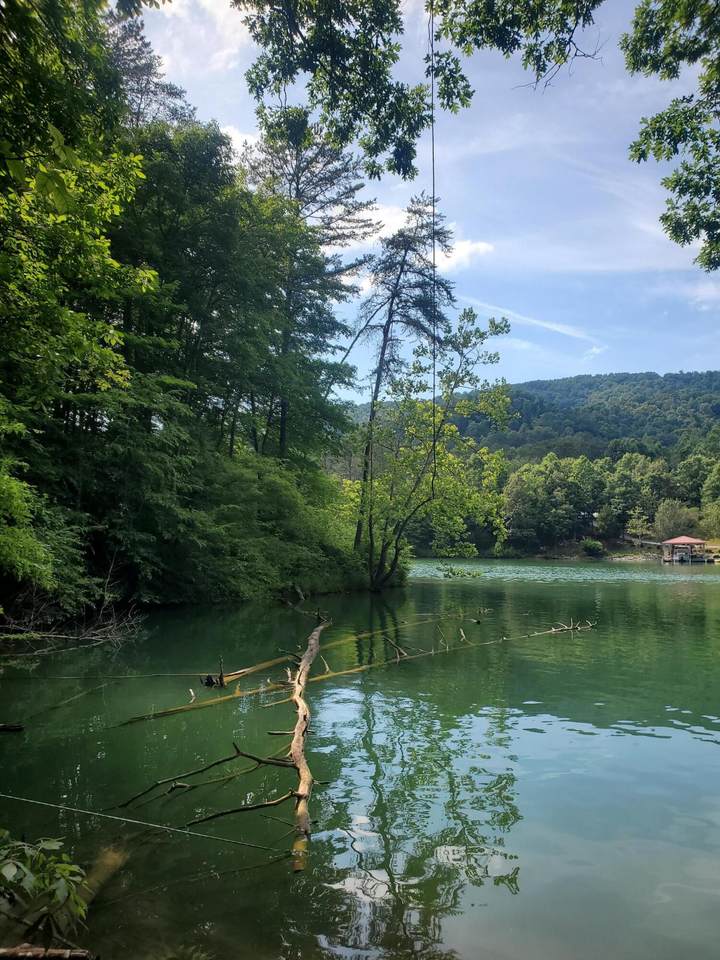 865 Black Fox Rd - Photo 1