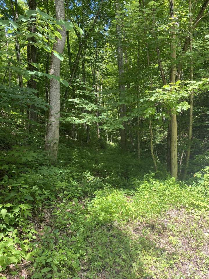 Dan Shumate Rd Off - Photo 1