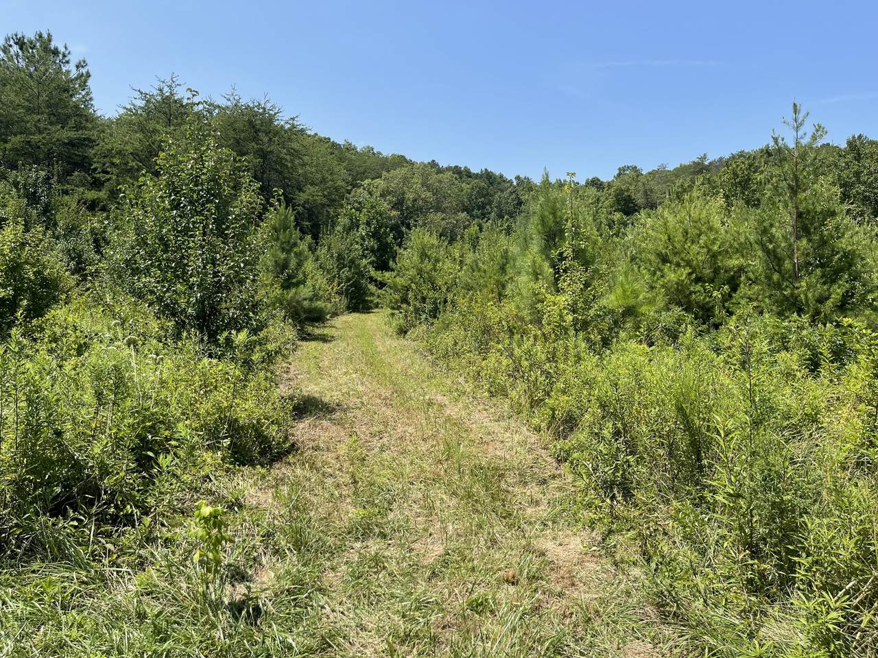 3 Point Rd - Photo 1