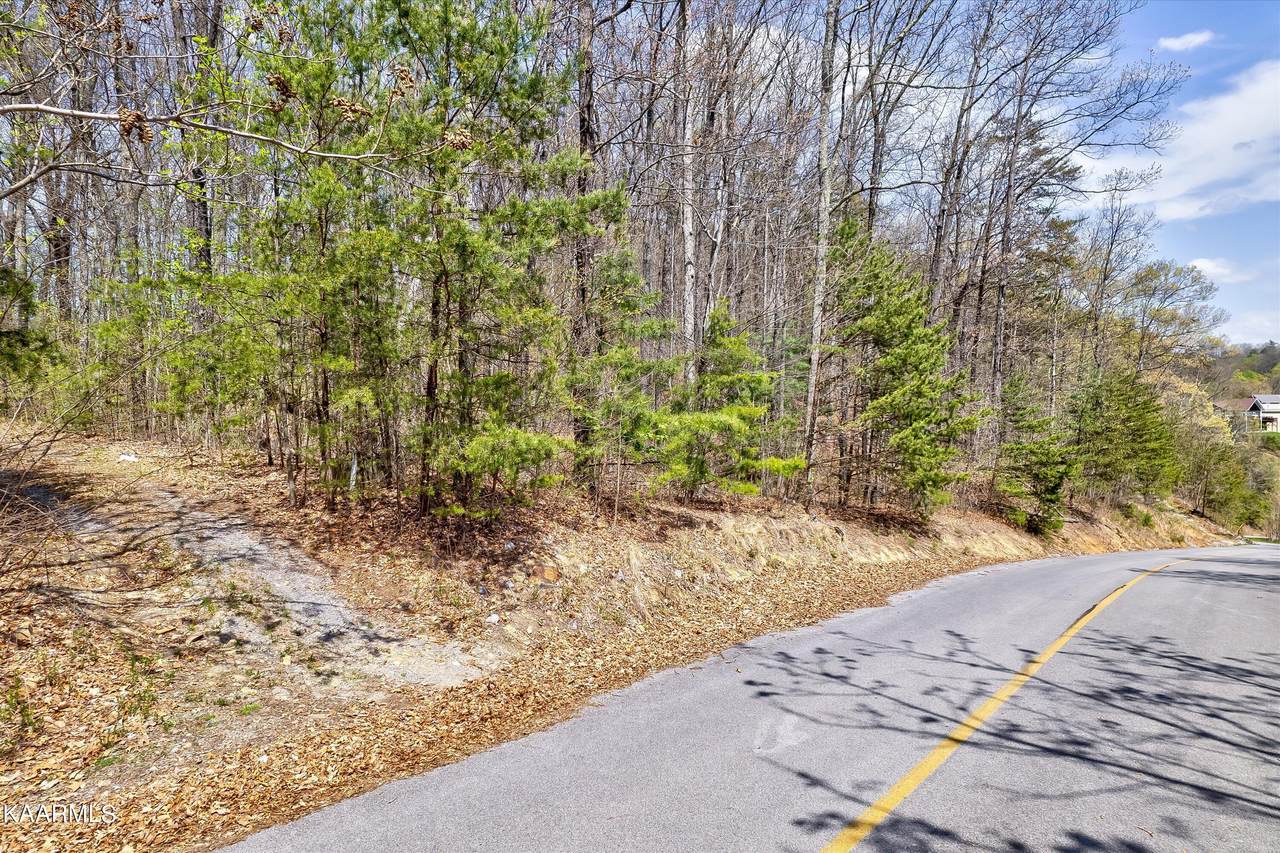 Lot 125E Settlers View Lane - Photo 1