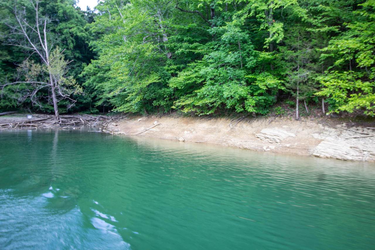 Lot 359 Morning Glory Rd - Photo 1
