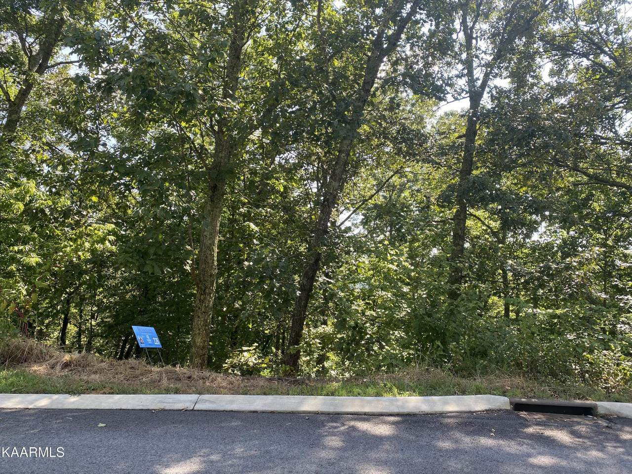 937 Eagle Nest Dr - Photo 1