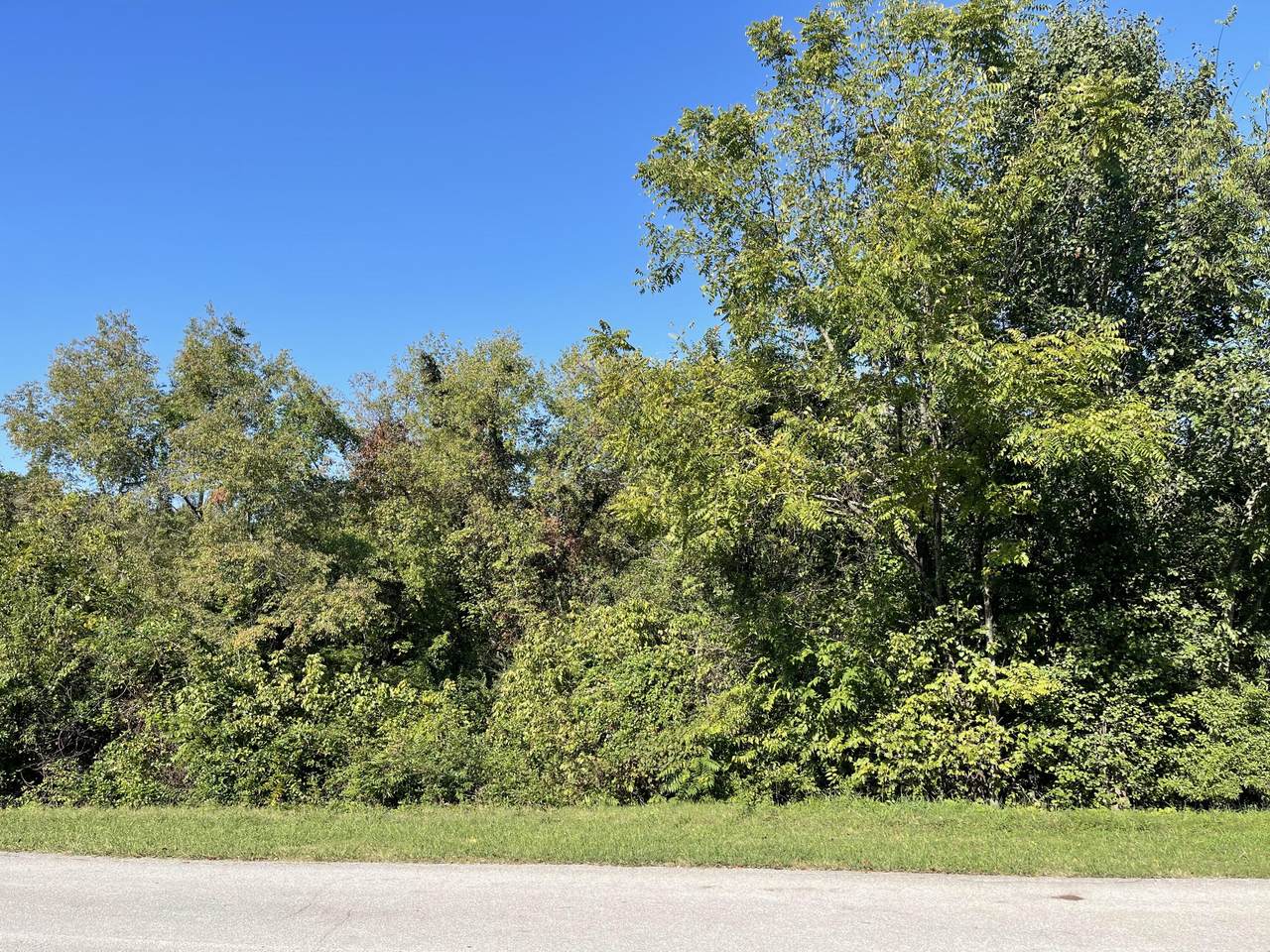 Lot 152 Cherokee Drive - Photo 1