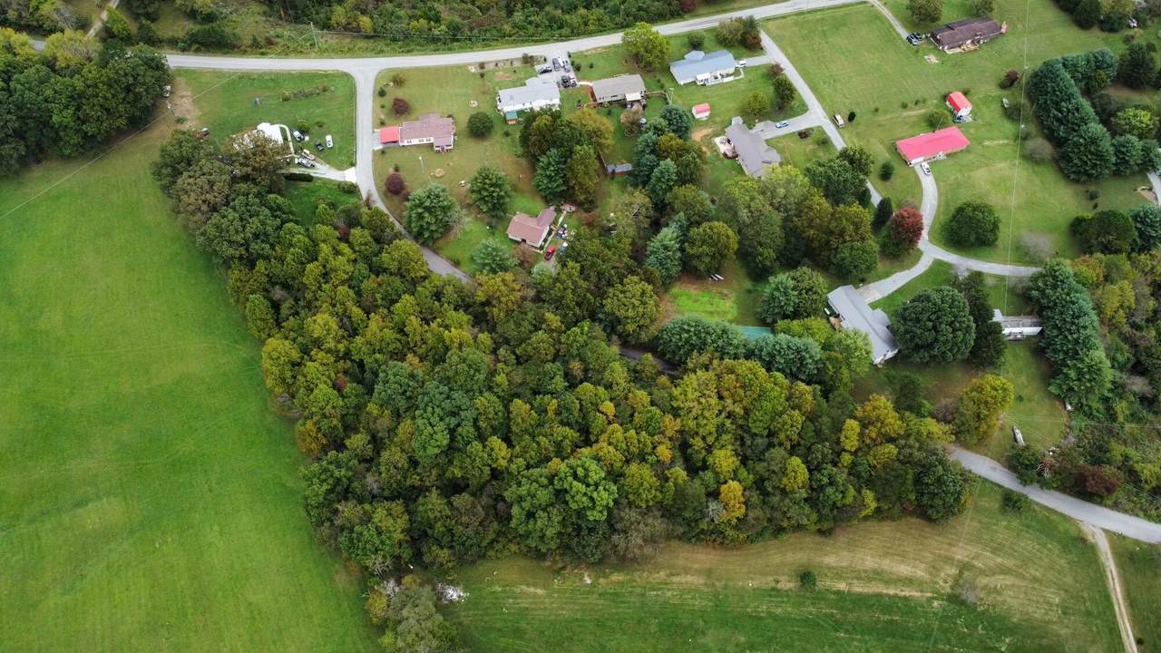 Whitaker Lane - Photo 1