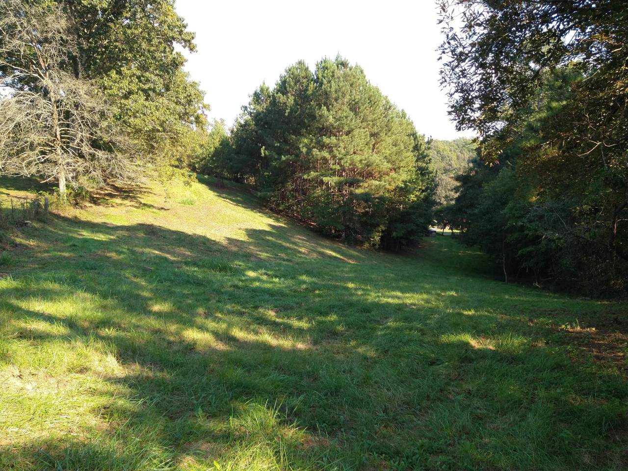 1031/1051 Marble Hill Rd - Photo 1