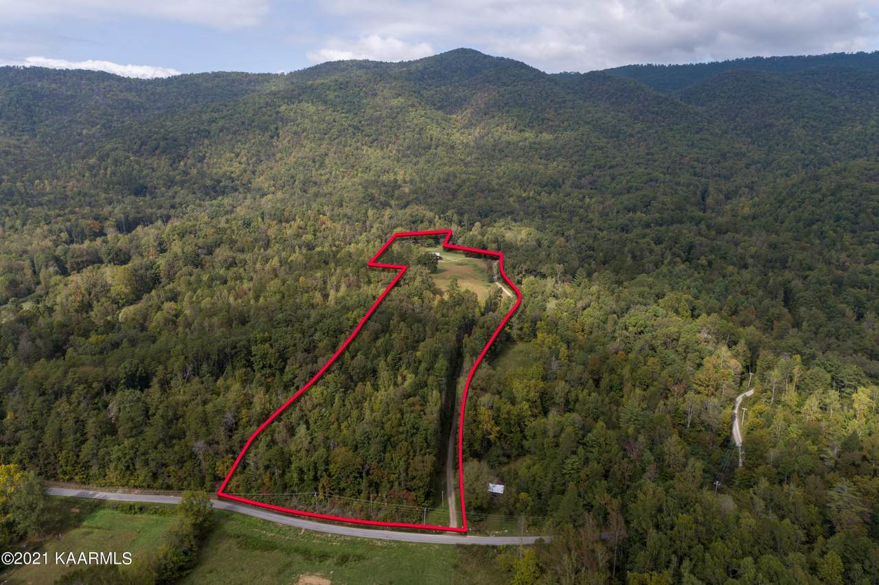 1241 Millers Cove Rd - Photo 1