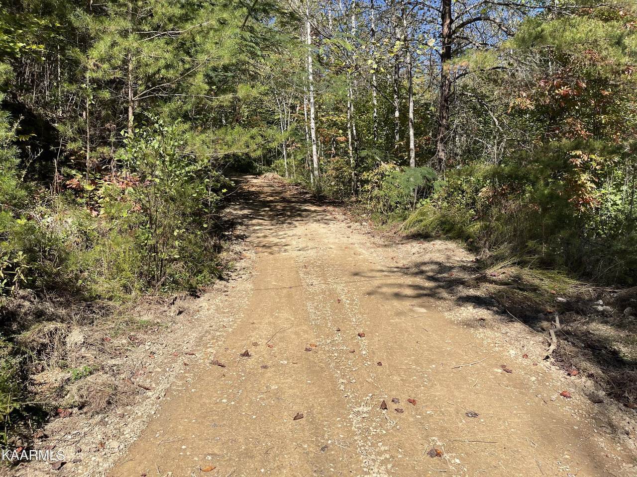 Cove Hollow Rd - Photo 1
