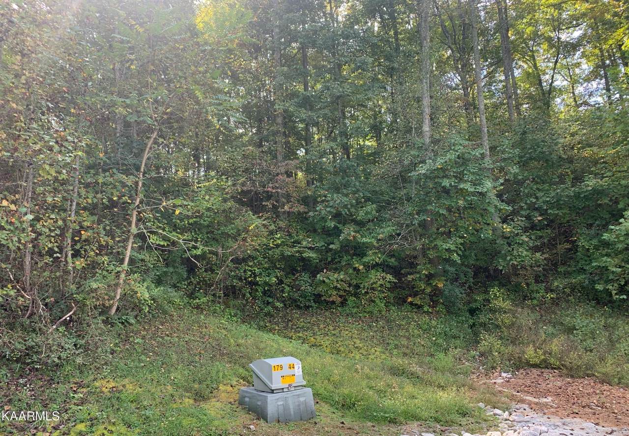 Hickory Way - Photo 1