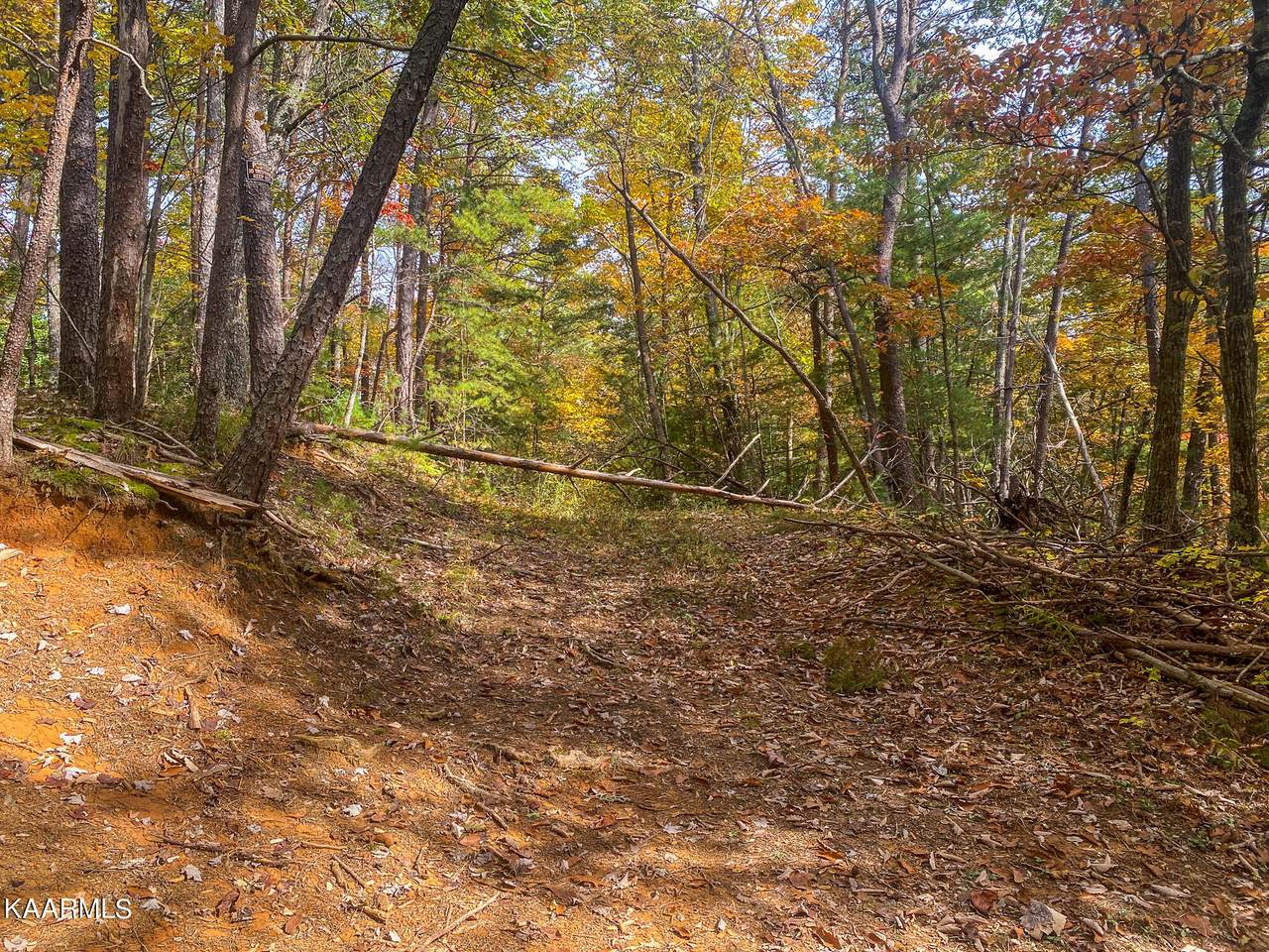 Amarlee Way - Photo 1
