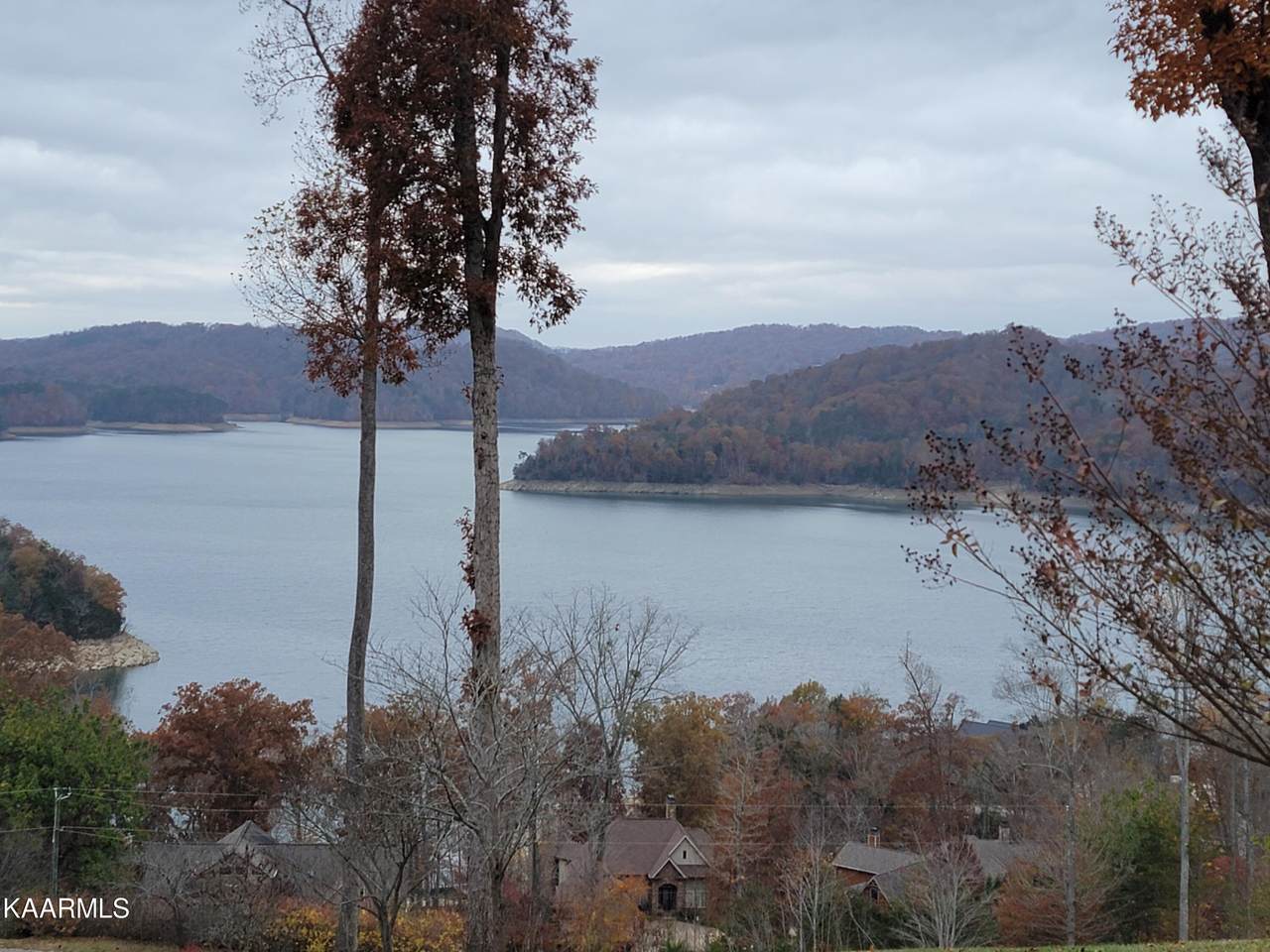 Hickory Pointe Lane - Photo 1