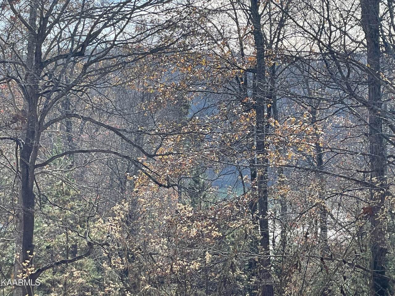 Bucks Doe Lane - Photo 1