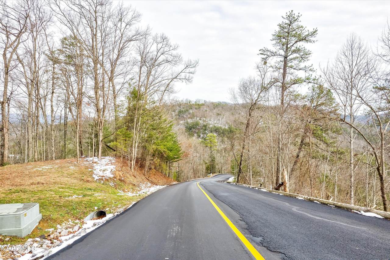 Lot 61 Whetstone Rd - Photo 1