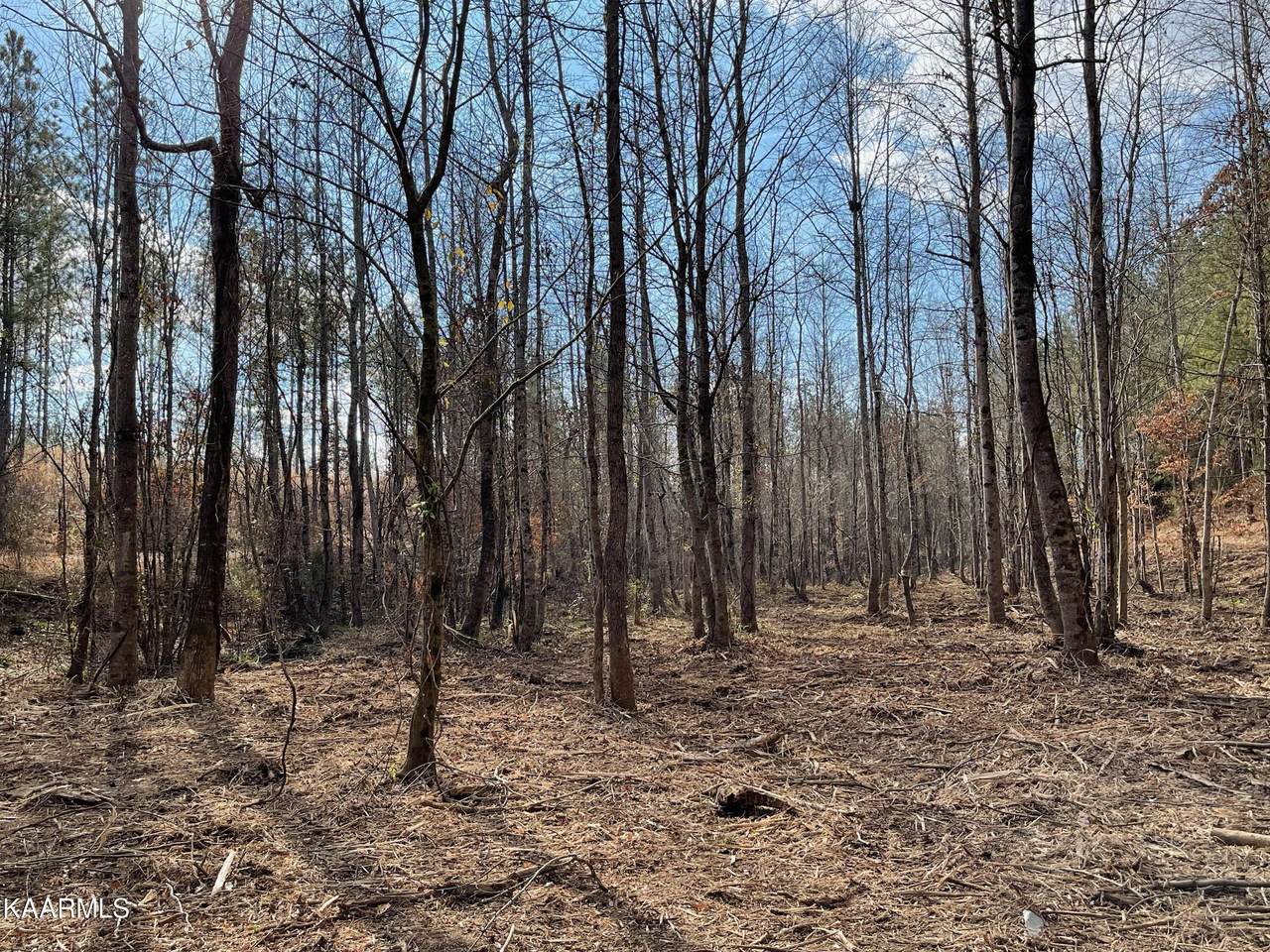 607 County Road 225 - Photo 1