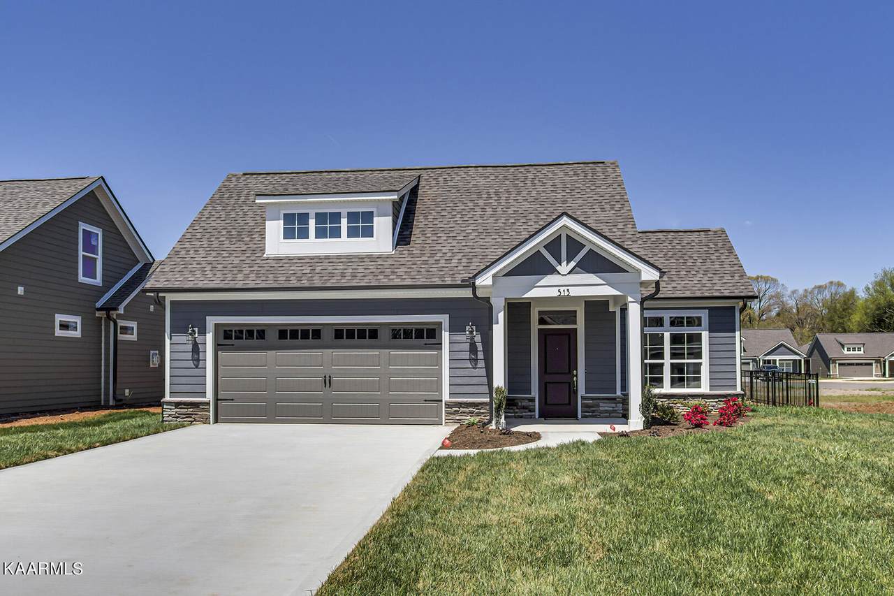 513 Chestnut Place - Photo 1
