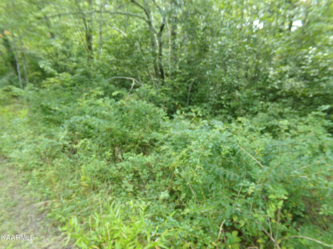 2000 Okmulgee Lane - Photo 1